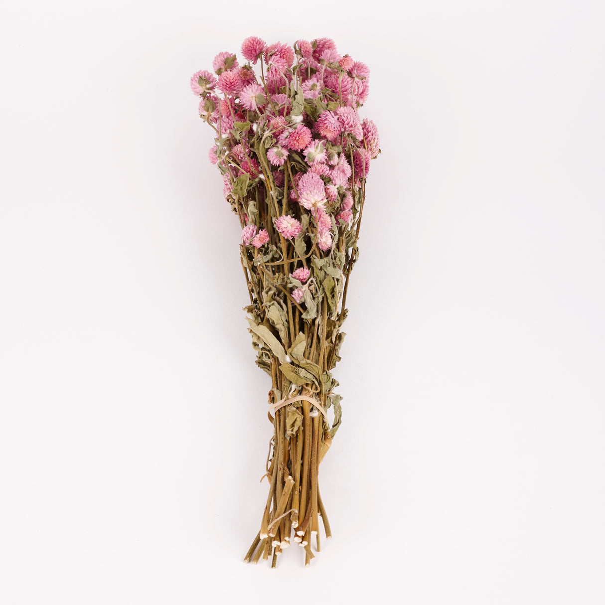 Gomphrena, Dried, Natural Lilac, 80g Bunch