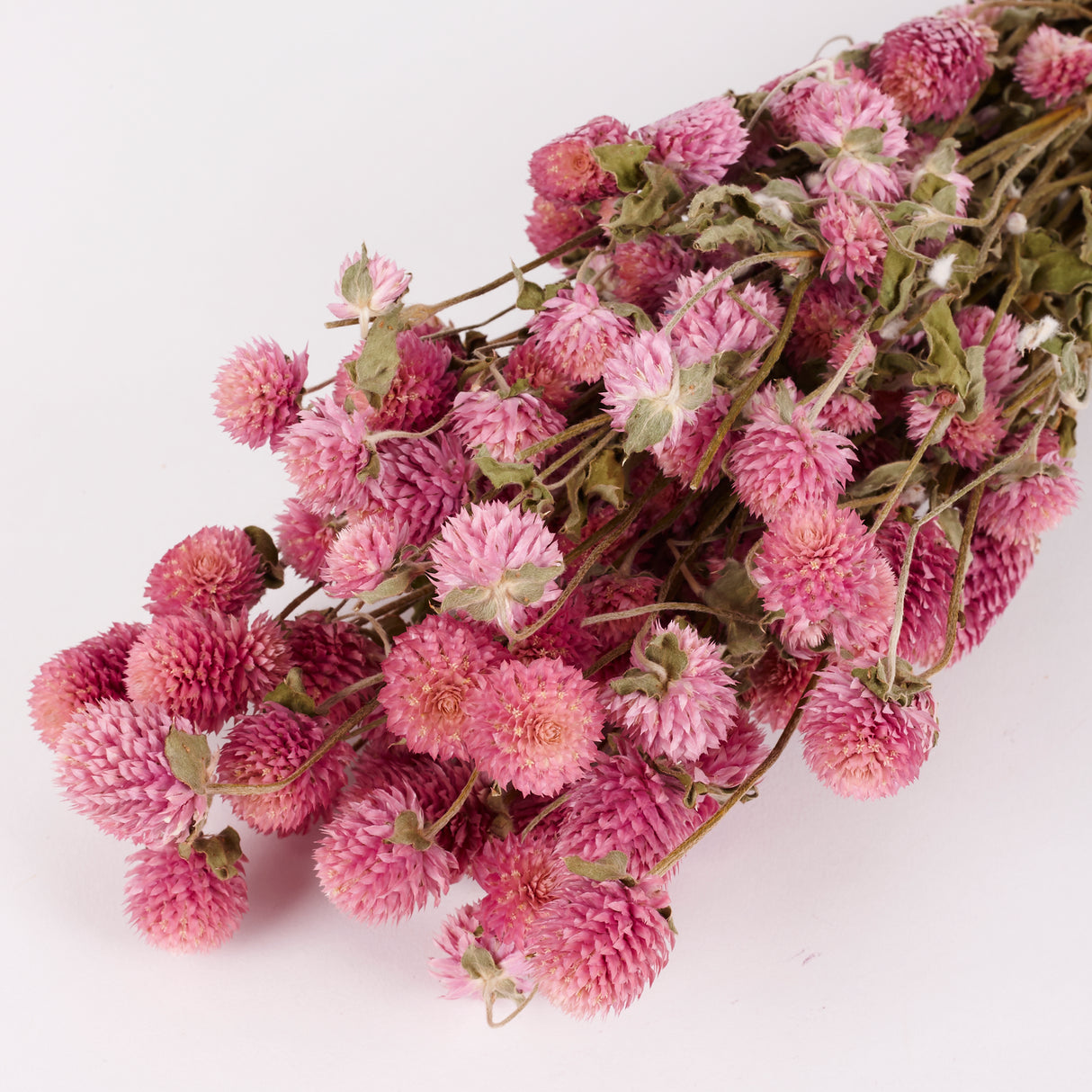Gomphrena, Dried, Natural Lilac, 80g Bunch