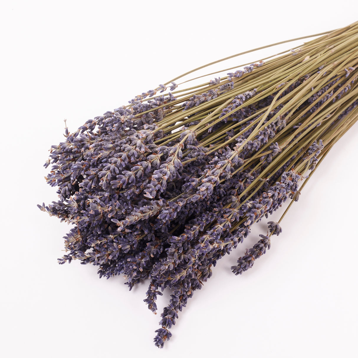 Lavender (Italian), Dried, Natural Blue, 100g Bunch