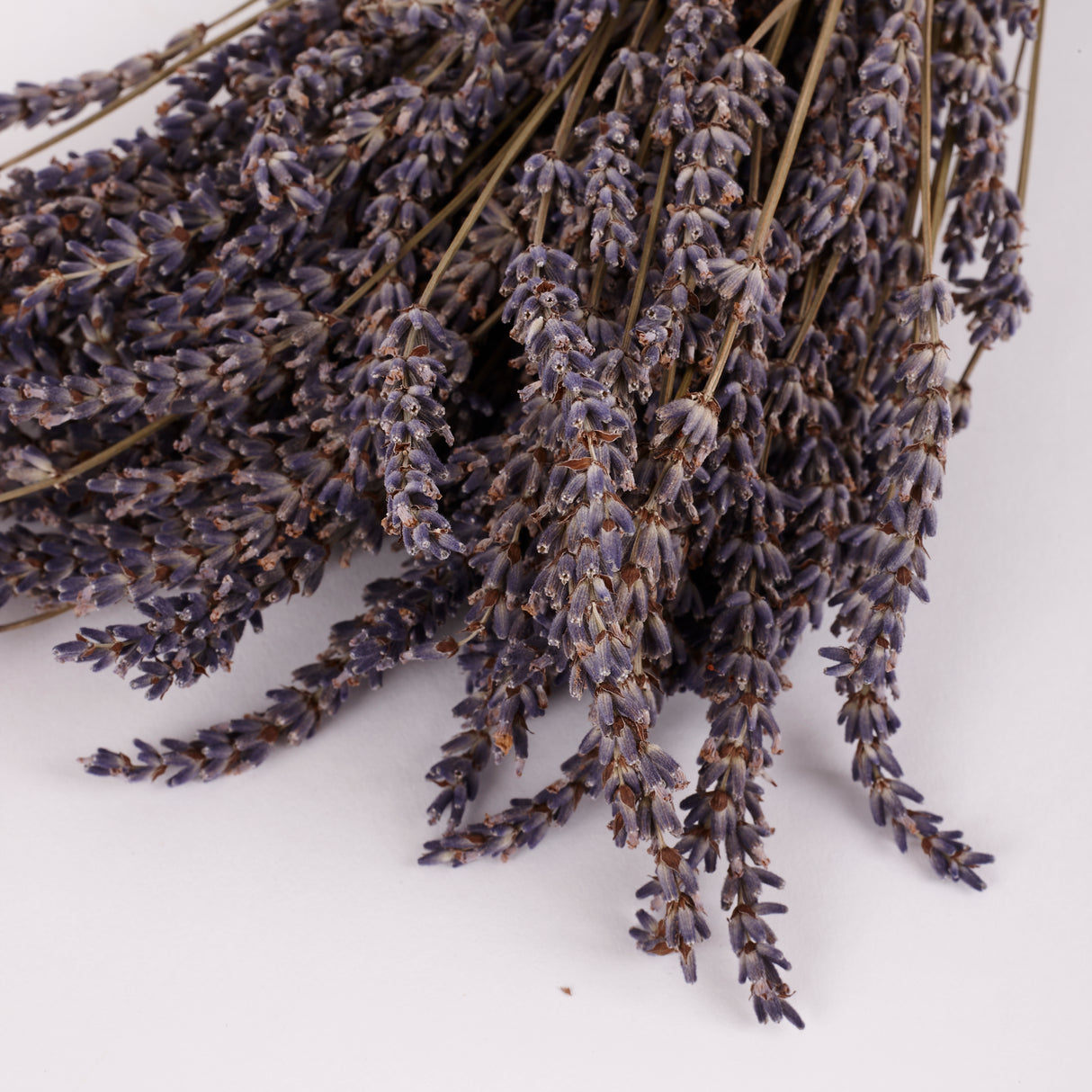 Lavender (Italian), Dried, Natural Blue, 100g Bunch