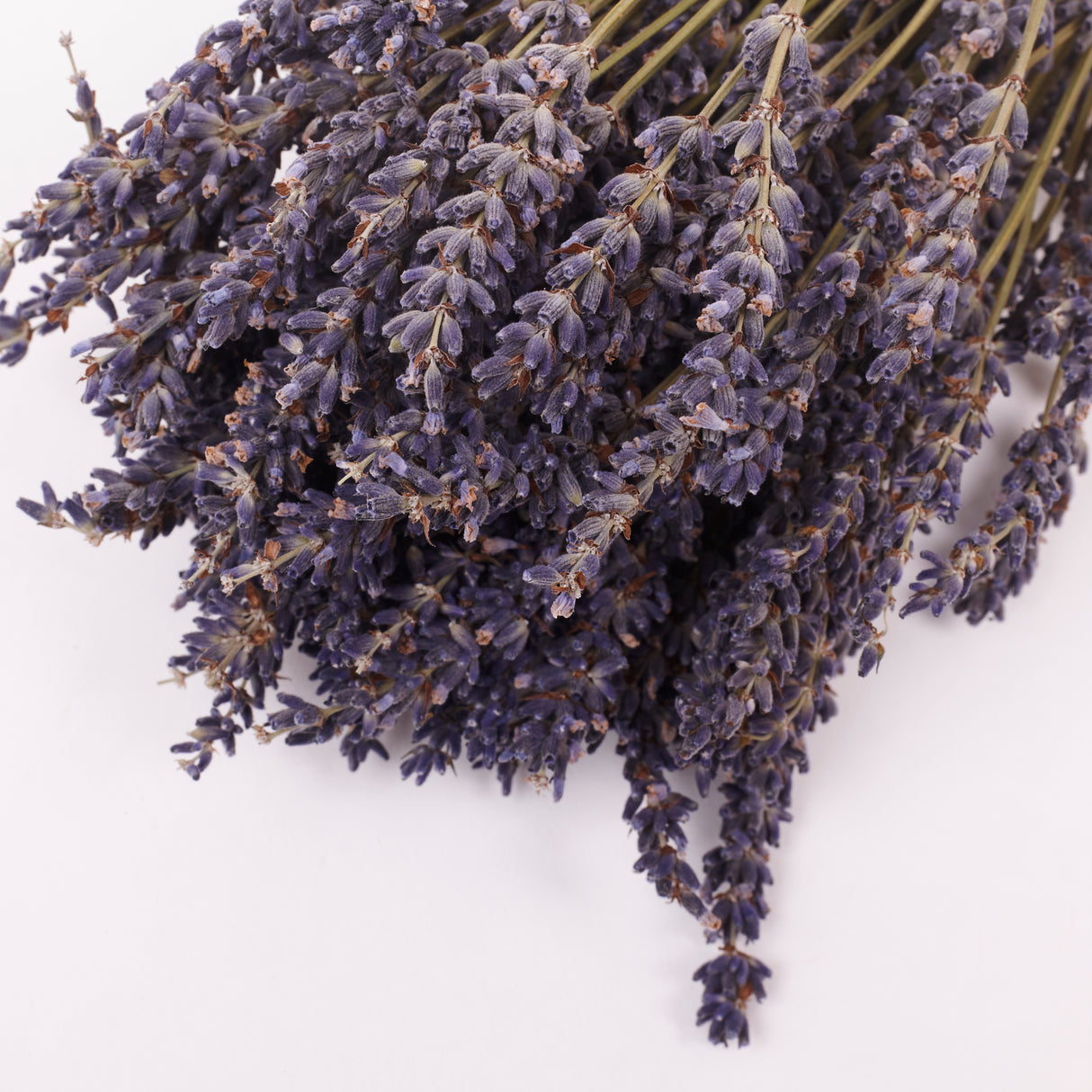 Lavender (Italian), Dried, Natural Blue, 100g Bunch