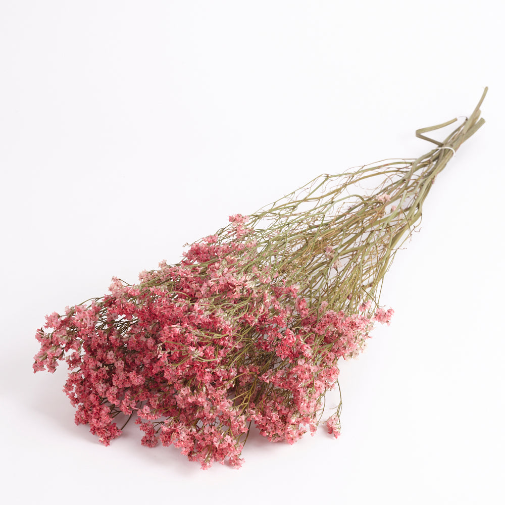 Limonium, Dried, Natural Coral Pink, 60cm