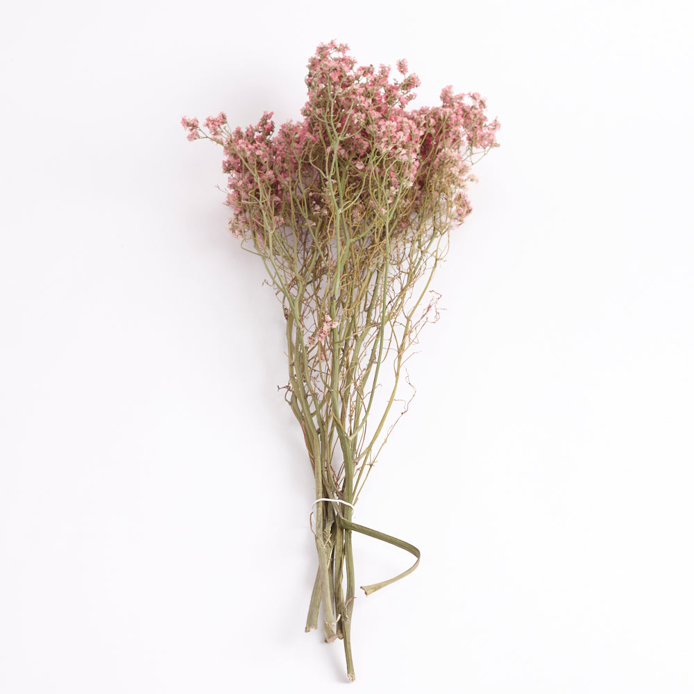 Limonium, Dried, Natural Coral Pink, 60cm