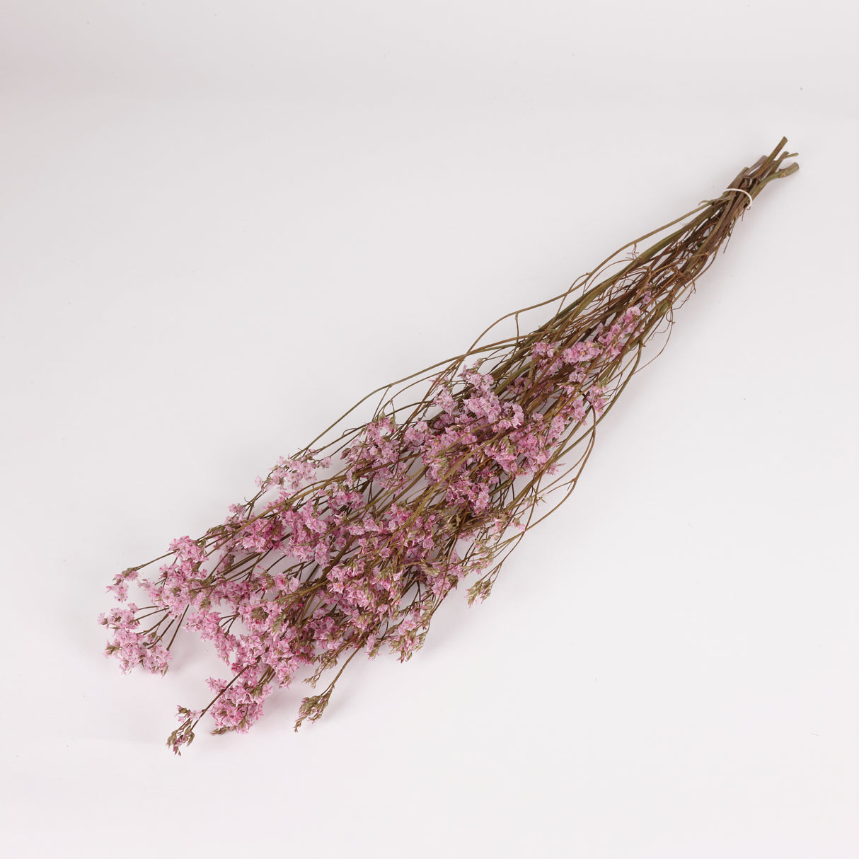 Limonium, Dried, Natural Pink, 60cm