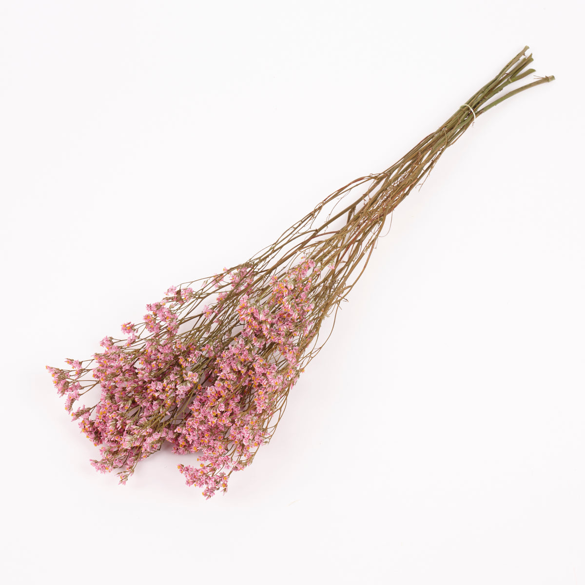 Limonium, Dried, Natural Pink, 60cm