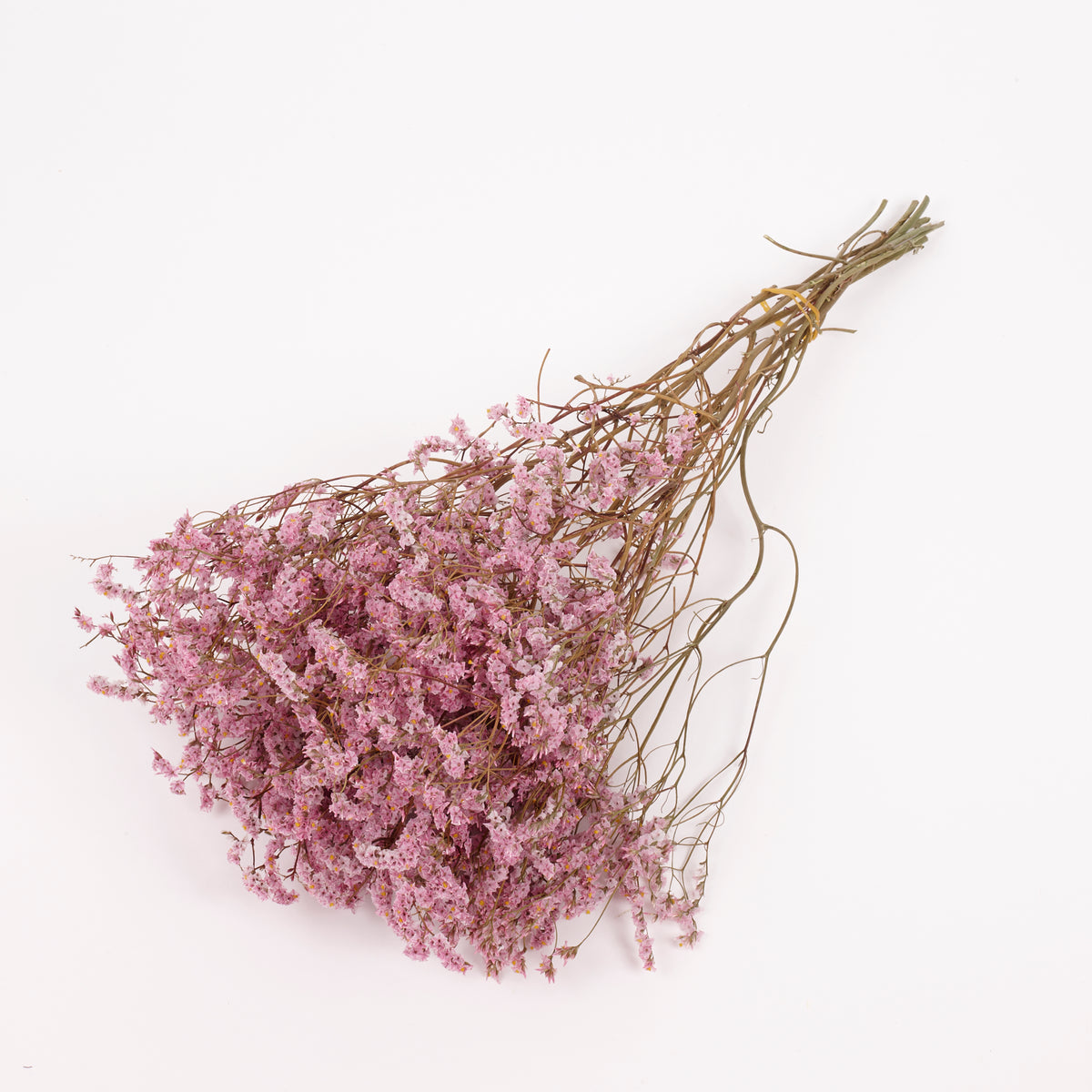 Limonium, Dried, Natural Light Pink, 60cm