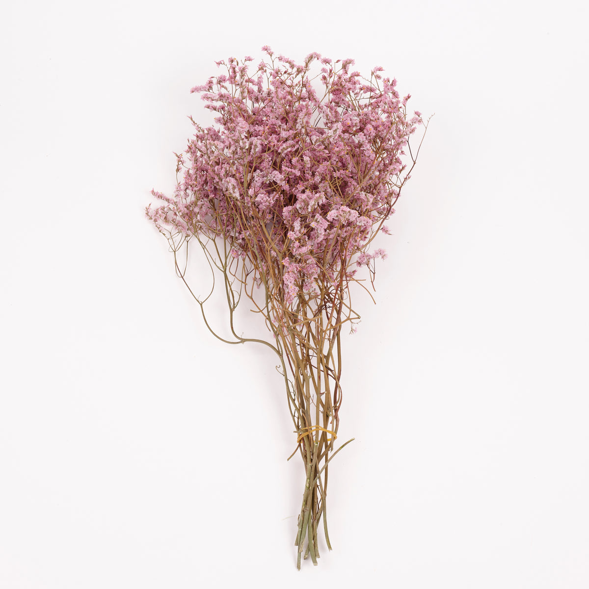 Limonium, Dried, Natural Light Pink, 60cm