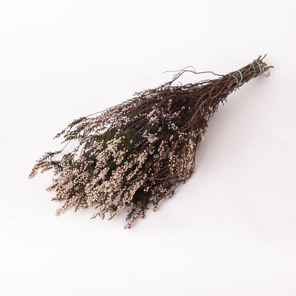 Heather, Preserved, Natural Pink, 150g