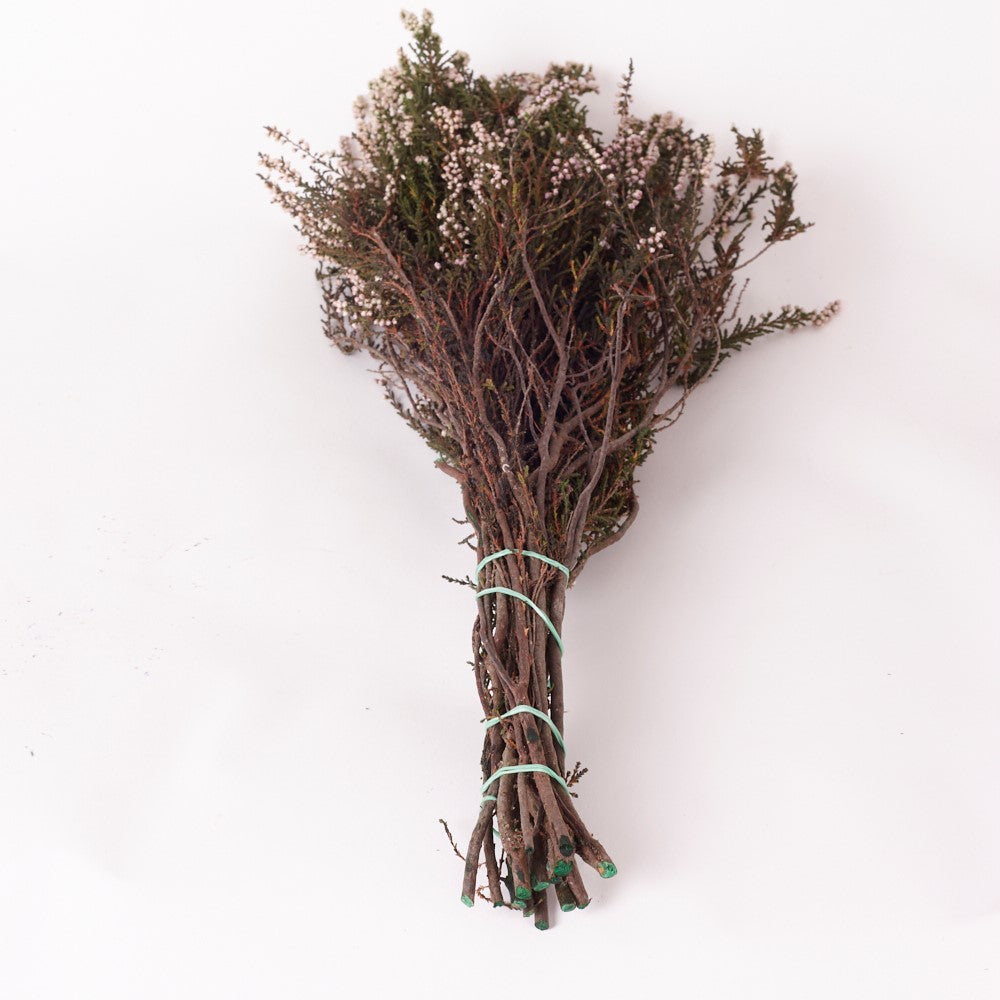 Heather, Preserved, Natural Pink, 150g