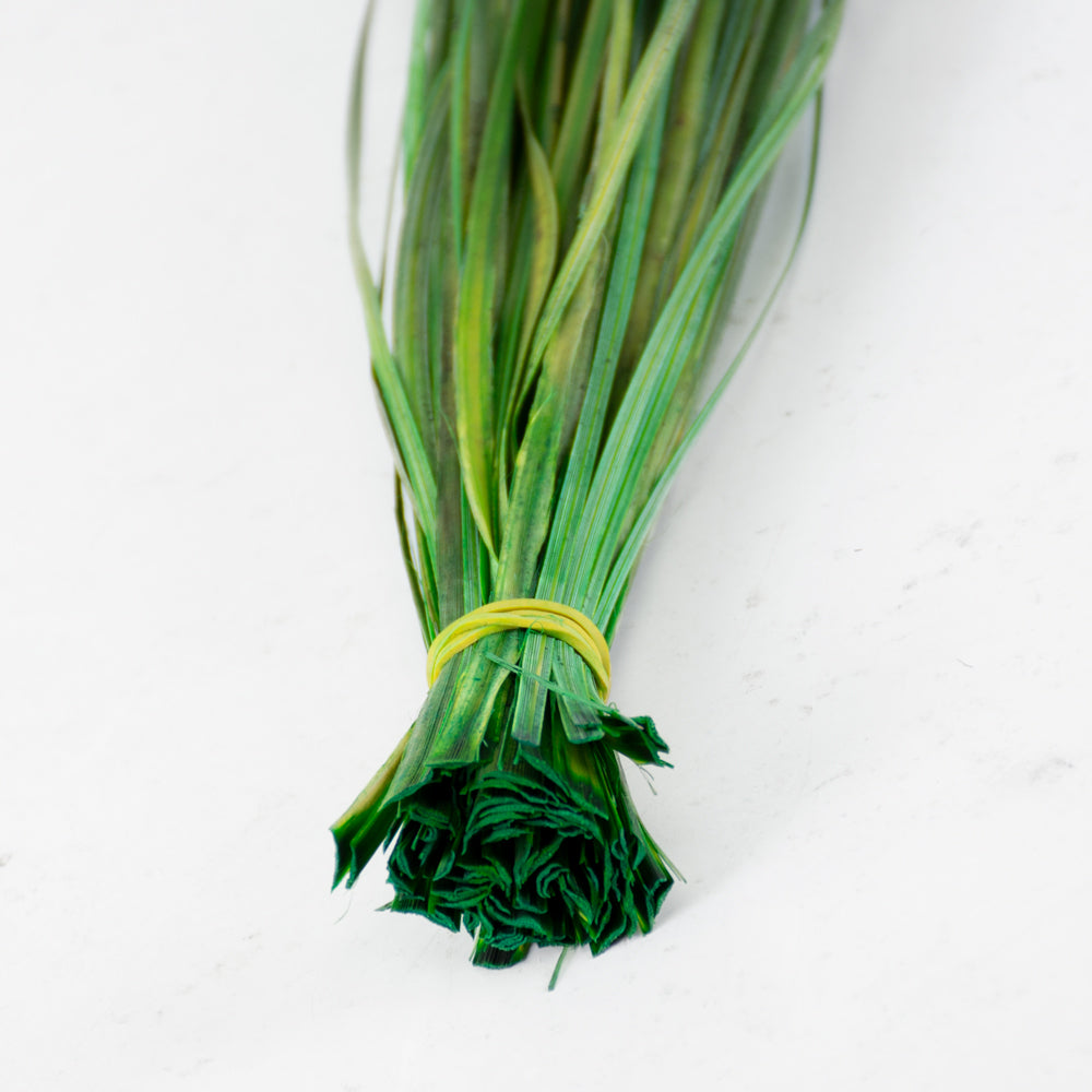 Preserved Beargrass, Green, 100g