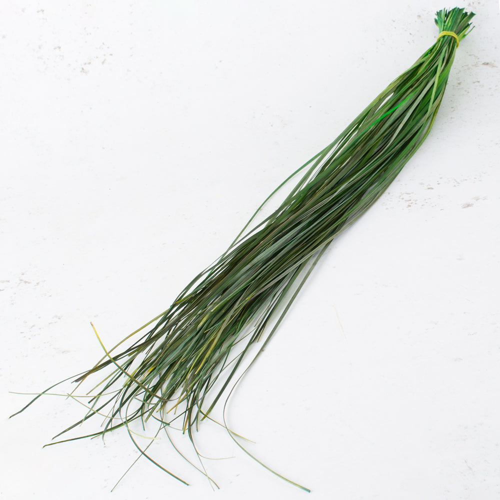 Preserved Beargrass, Green, 100g