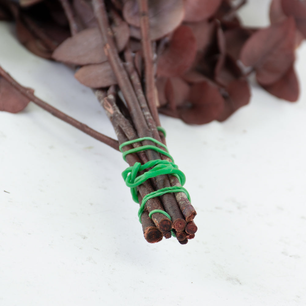 Eucalyptus Stuartiana, Preserved, Red, 150g