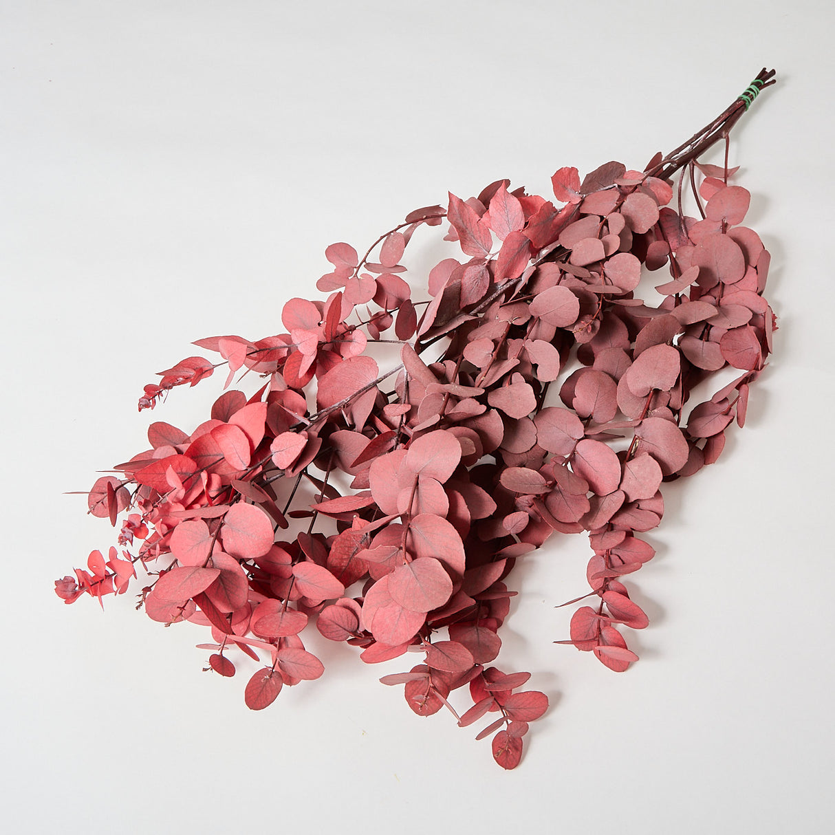 This is a bunch of Preserved Eucalyptus Stuartiana in a rosy pink colour.