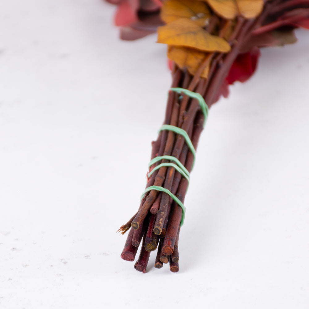 Eucalyptus Stuartiana Preserved Autumn Colours