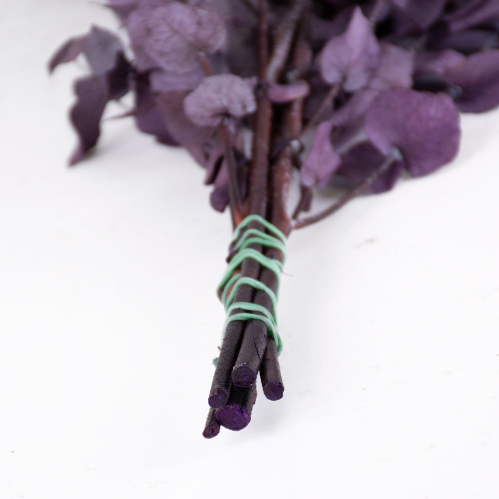 Eucalyptus Stuartiana, Preserved, Milka, 150g