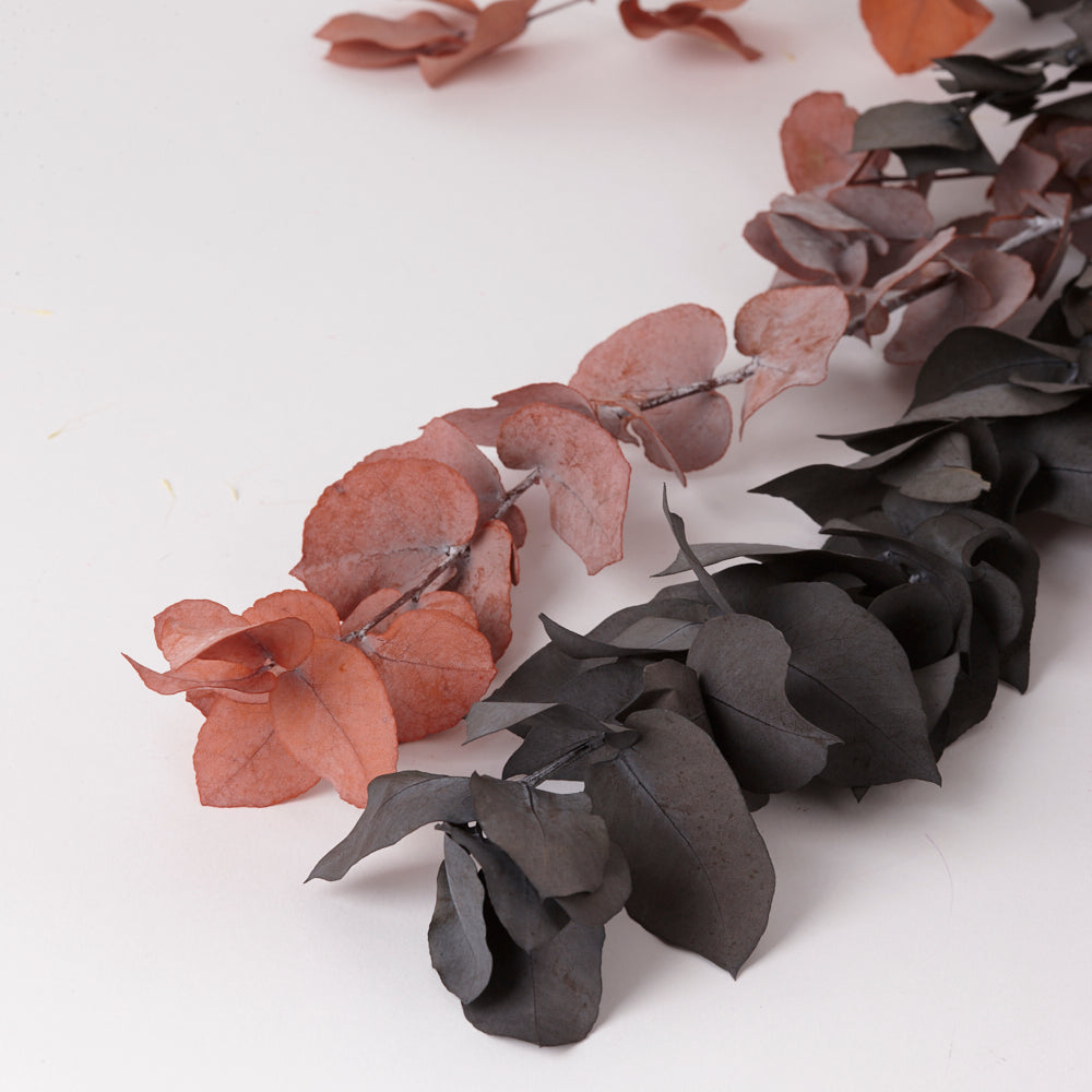 Eucalyptus Stuartiana, Preserved, Halloween, 150g