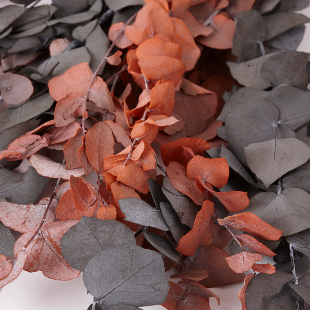 Eucalyptus Stuartiana, Preserved, Halloween, 150g