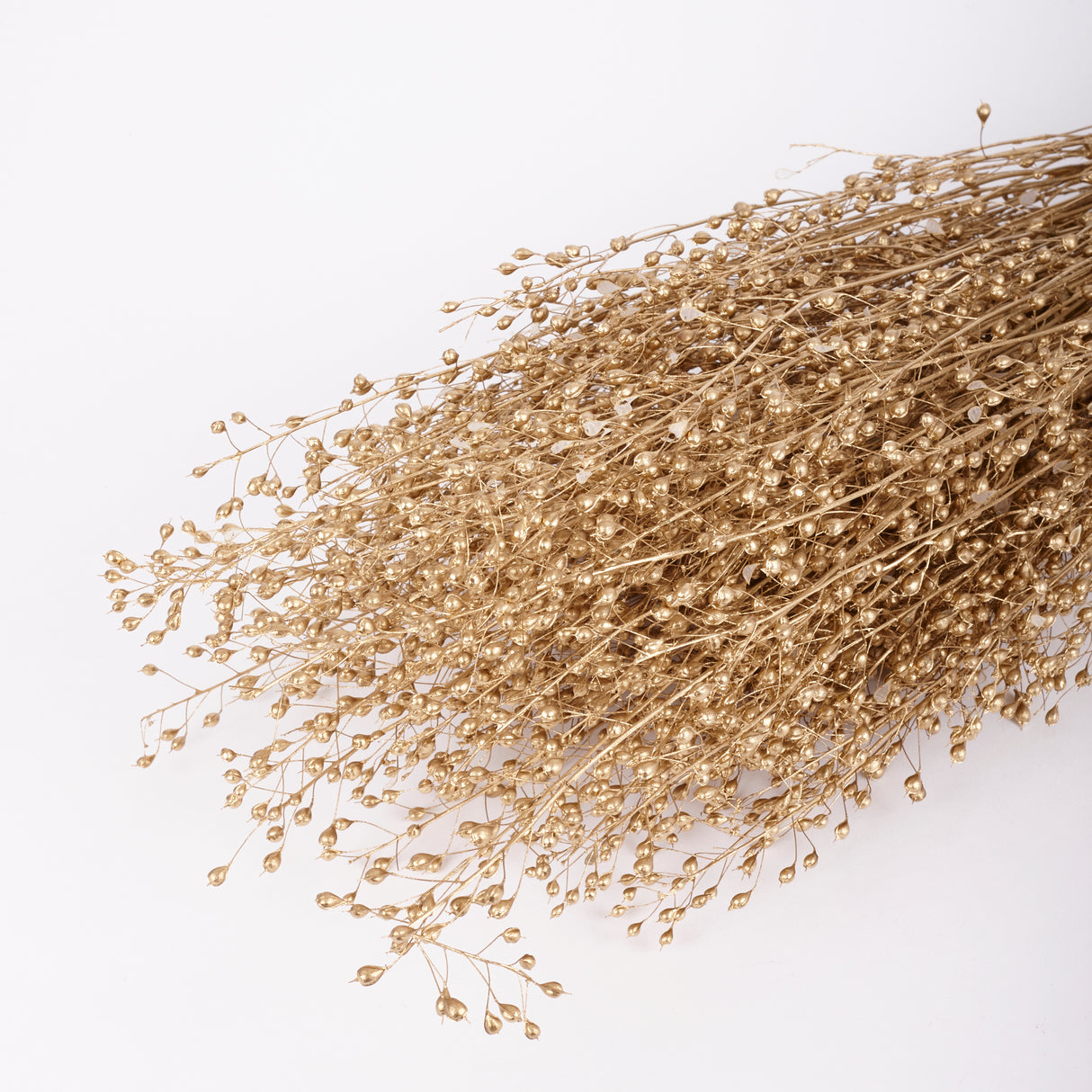 Lepidium, Atraxa, Dried, Dyed Gold