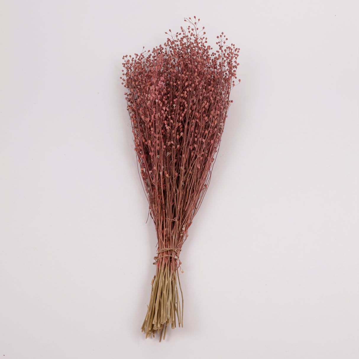Lepidium atraxa, Dried, Pink, Bunch