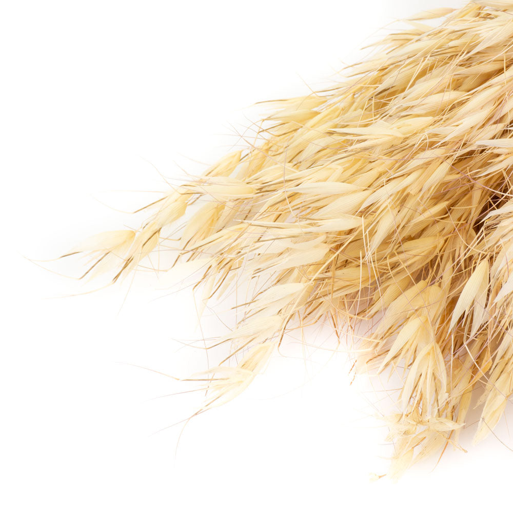 a bunch of natural coloured wild oats