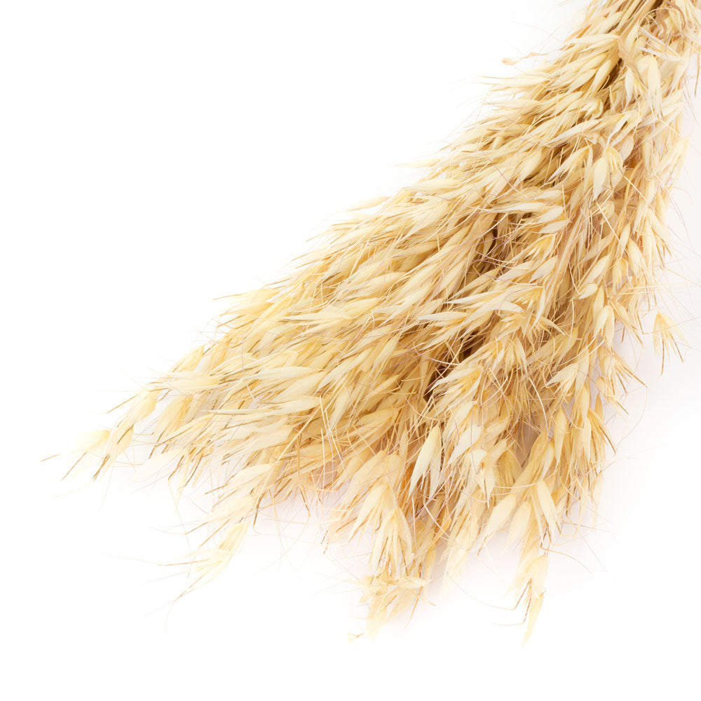 a bunch of natural coloured wild oats