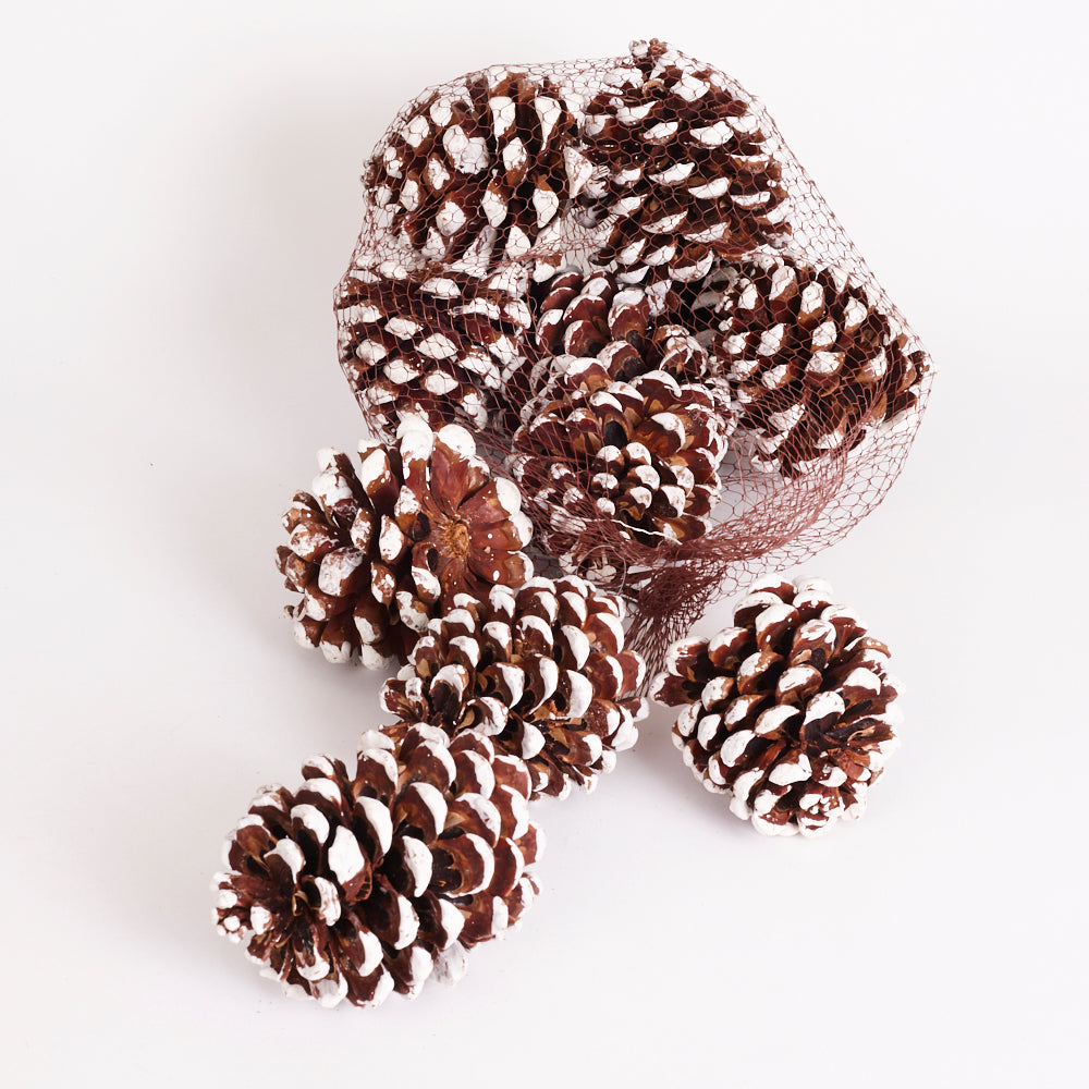 Pinea Cones, Natural with White Painted Tips, Net x 12 Cones