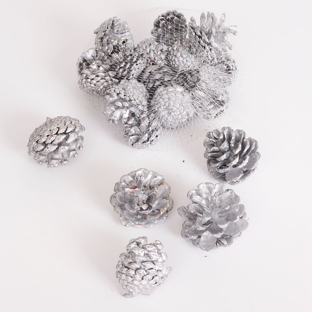 Pine Cones, Painted Silver, Net x 250g