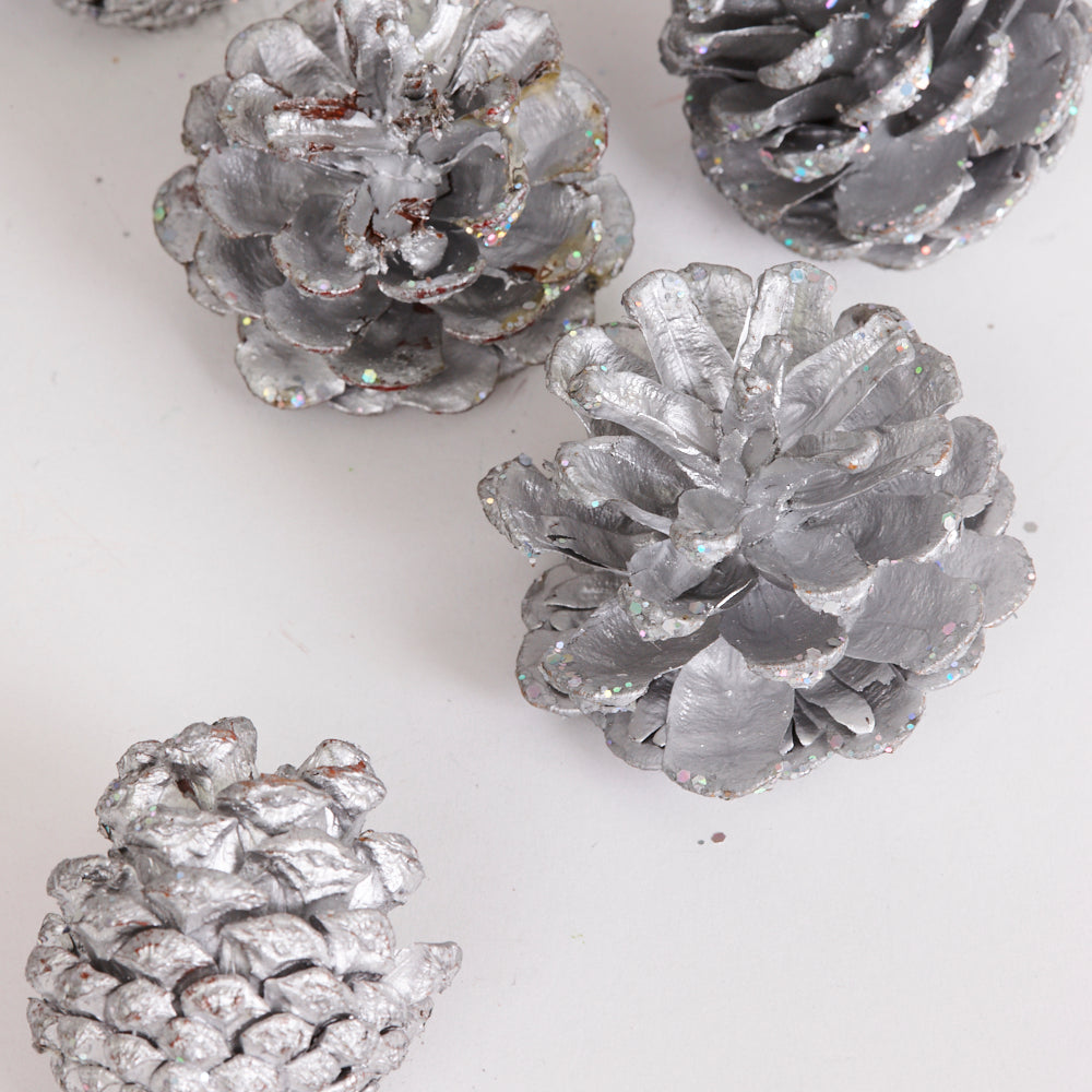 Pine Cones, Painted Silver, Net x 250g