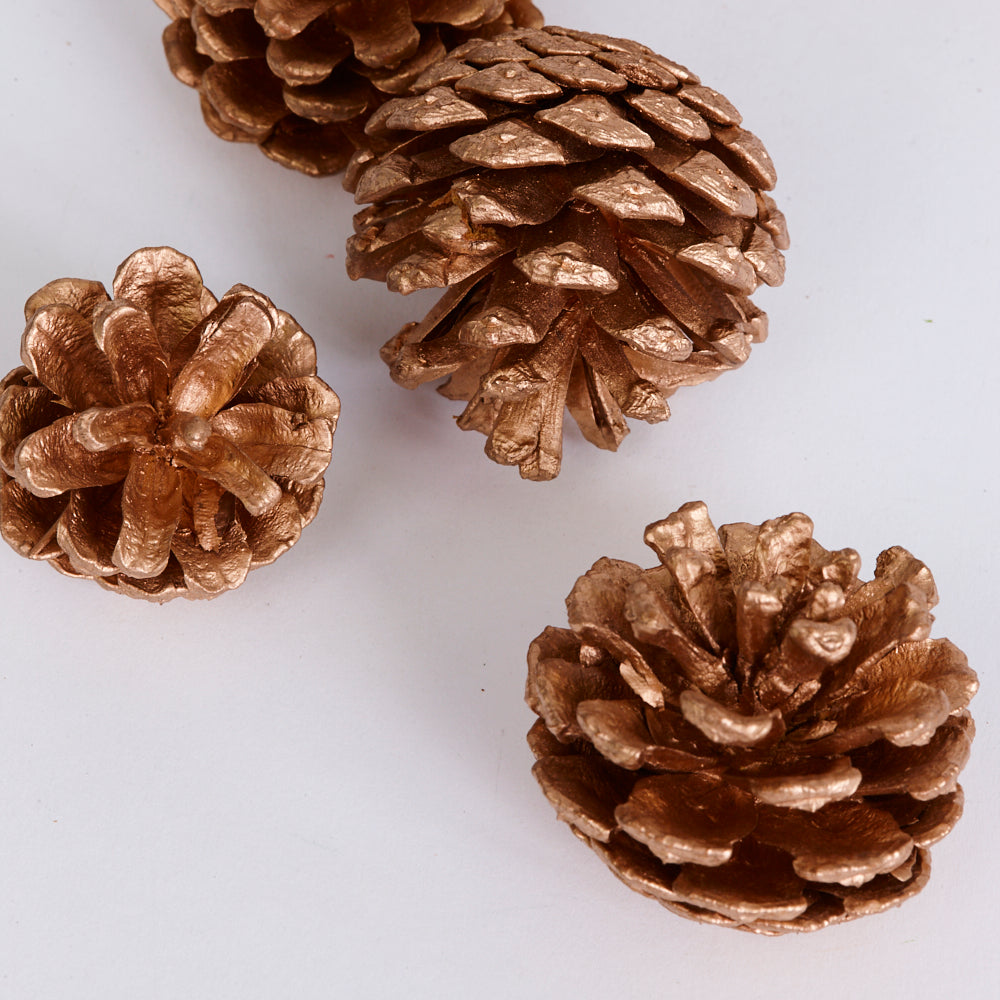 Pine Cones, Painted Gold, Net x 250g