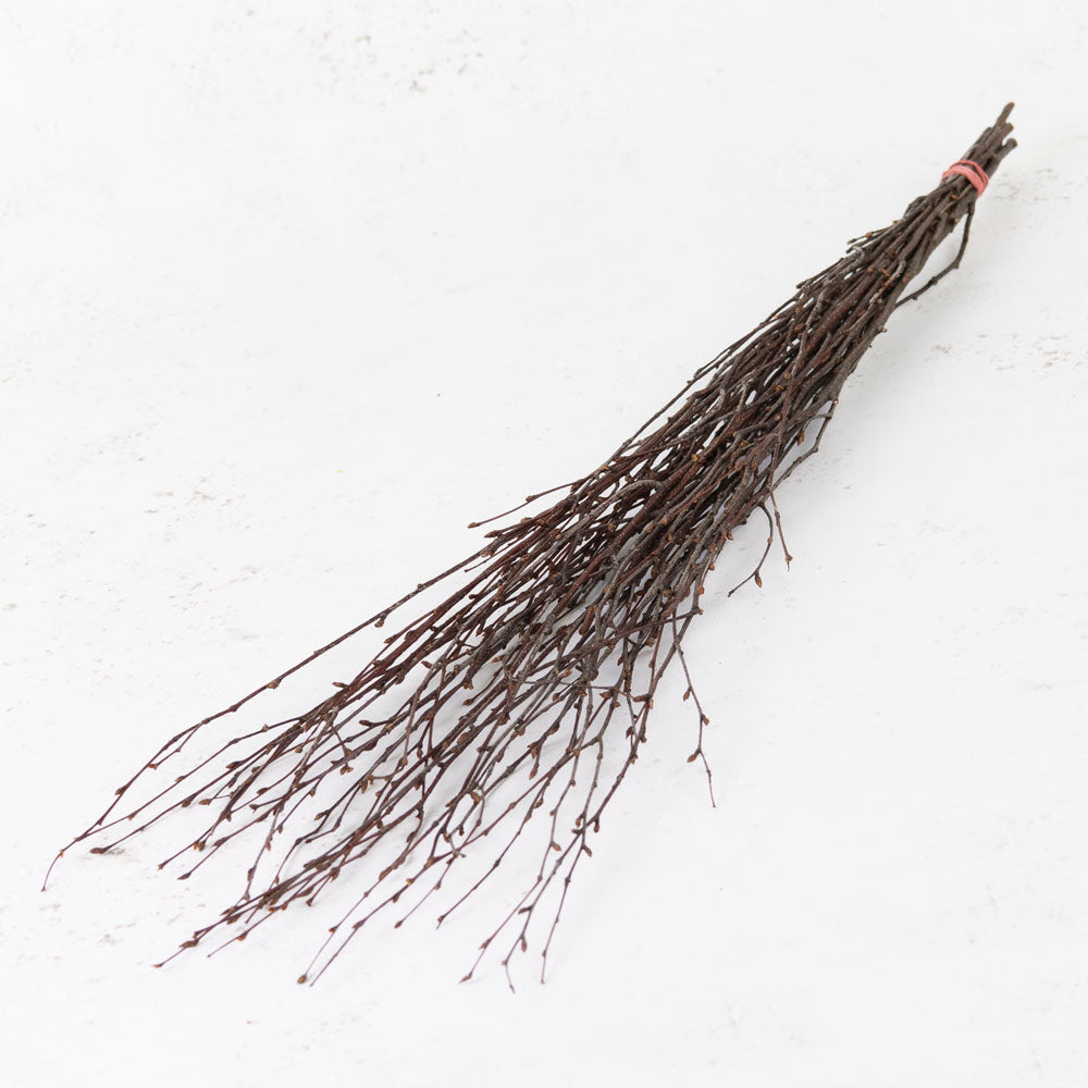 A bunch of long brown thin twigs