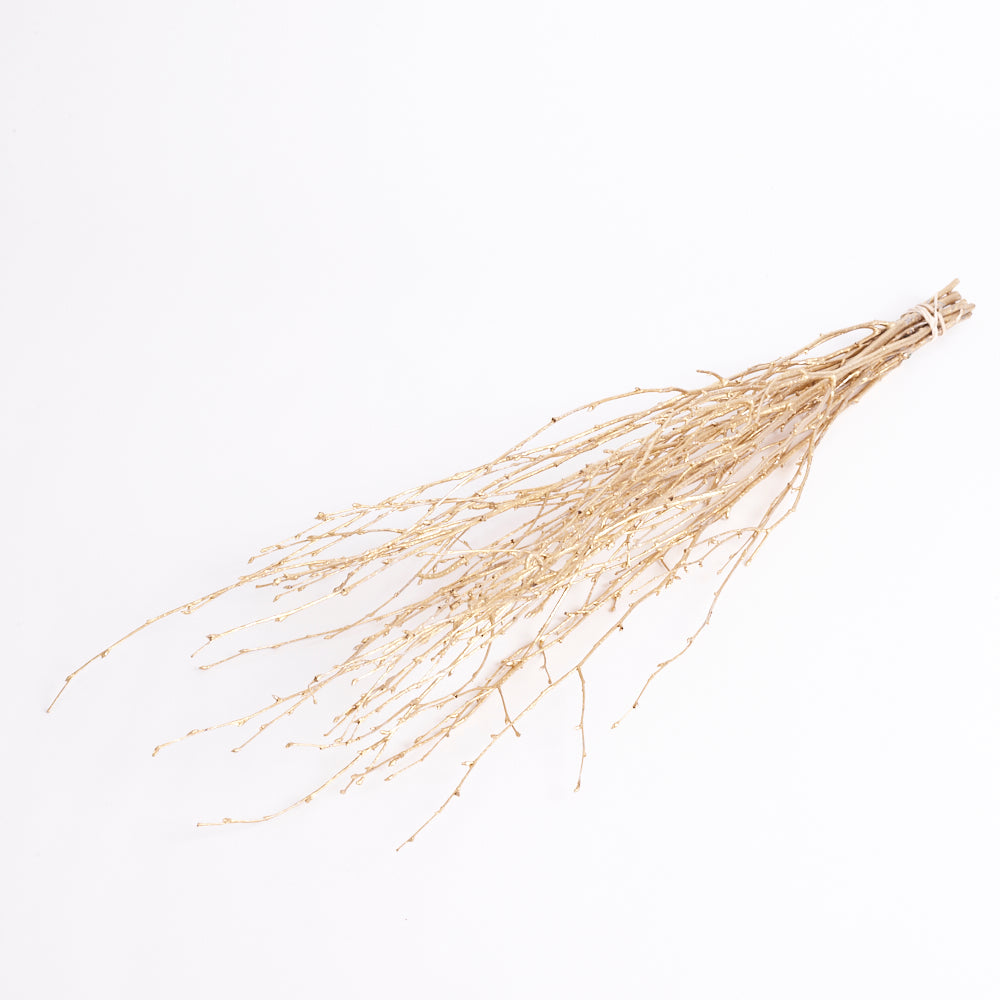 Birch, Dried, Gold, 10pc Bunch, 60cm