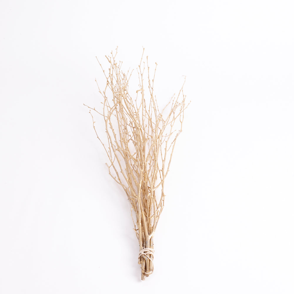 Birch, Dried, Gold, 10pc Bunch, 60cm