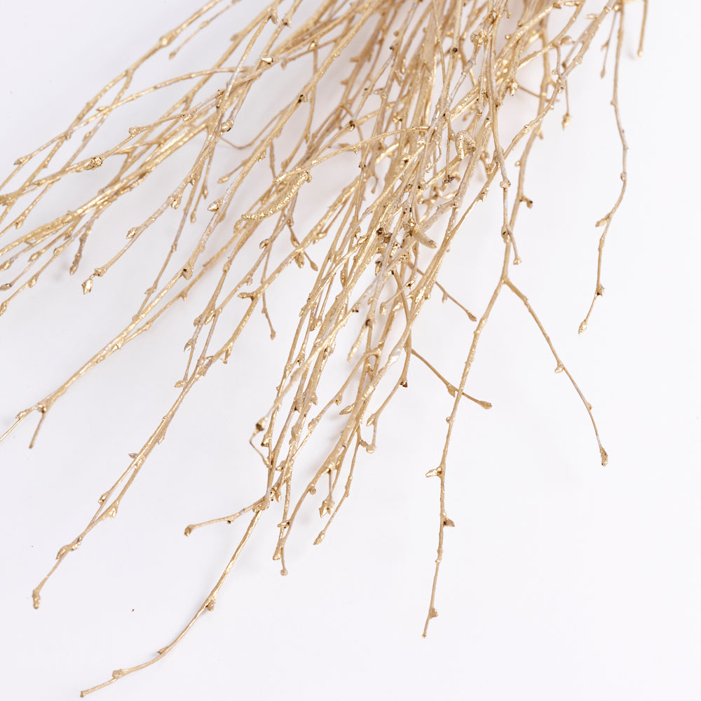 Birch, Dried, Gold, 10pc Bunch, 60cm