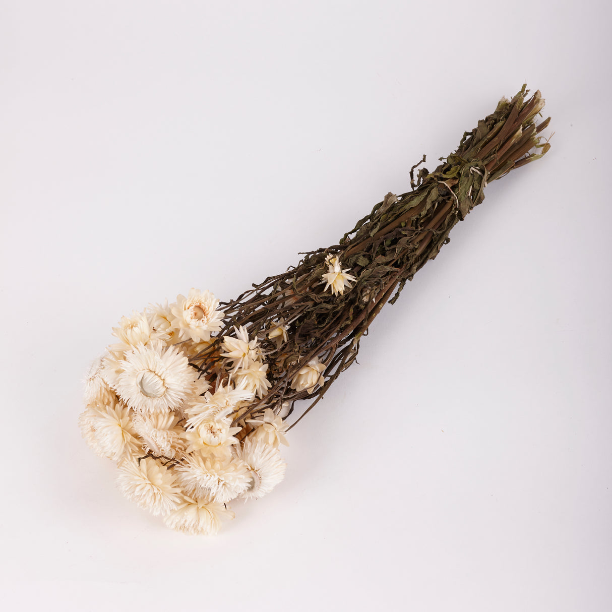 Helichrysum, Dried, Natural Cream, 45cm Bunch