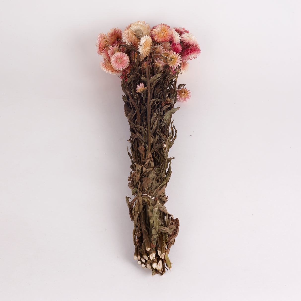 Helichrysum, Dried, Natural Pink, 45cm Bunch