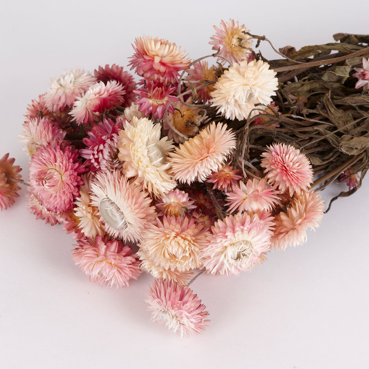Helichrysum, Dried, Natural Pink, 45cm Bunch