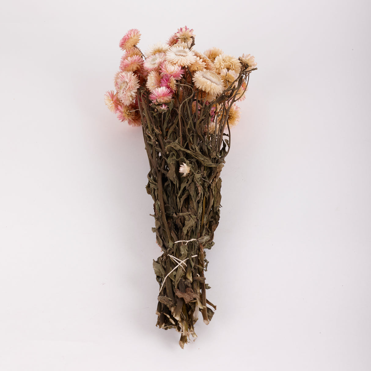 Helichrysum, Dried, Natural Light Pink, 45cm Bunch