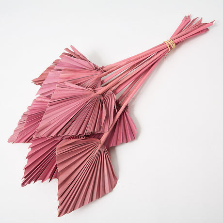This is a bunch of Dried Palm Spears in a delicate antique pink colour.