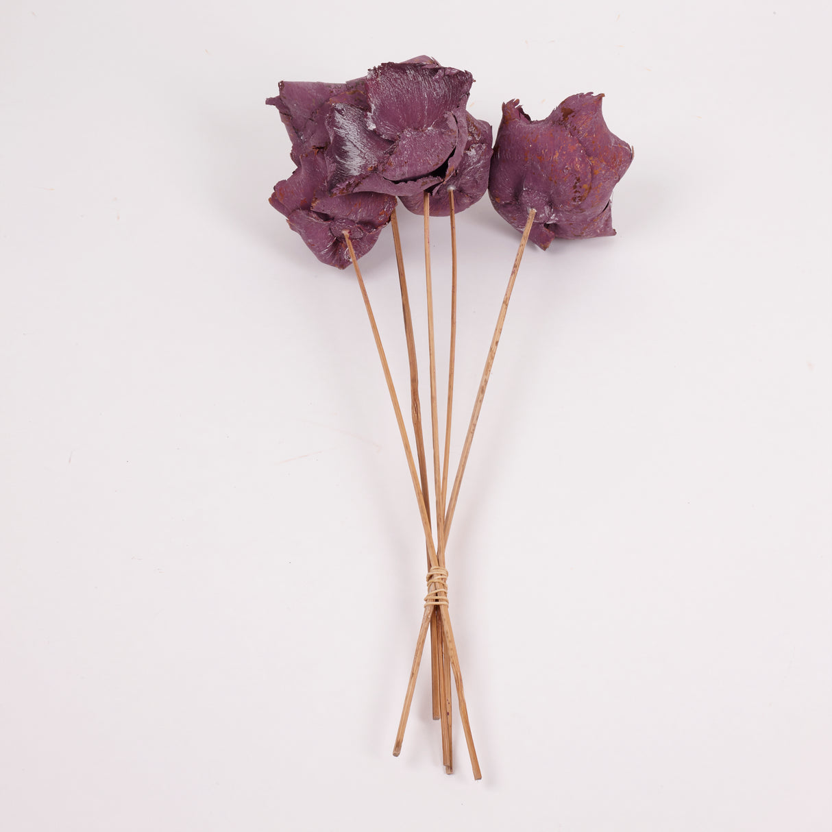 Palm Cup on Stem, Fuchsia with Frost, Bunch x 5