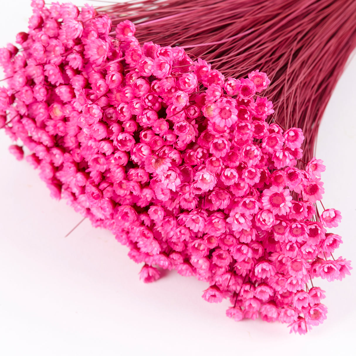 Glixia Flower, Fuchsia Pink, 100g Bunch
