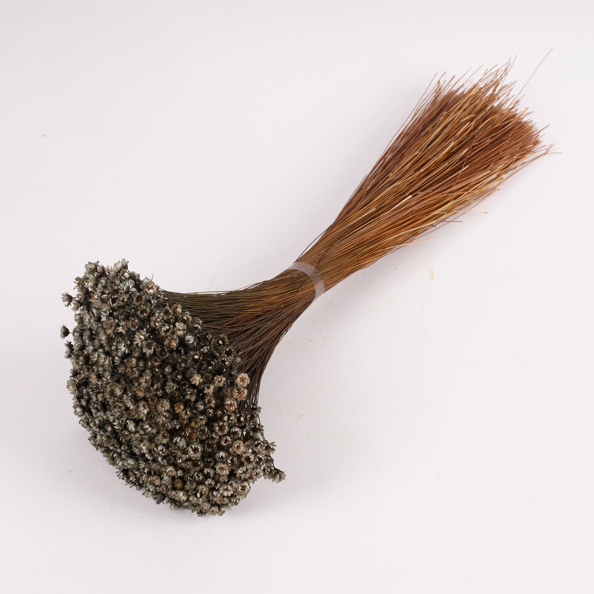 Glixia Flower, Dried, Grey, 100g Bunch