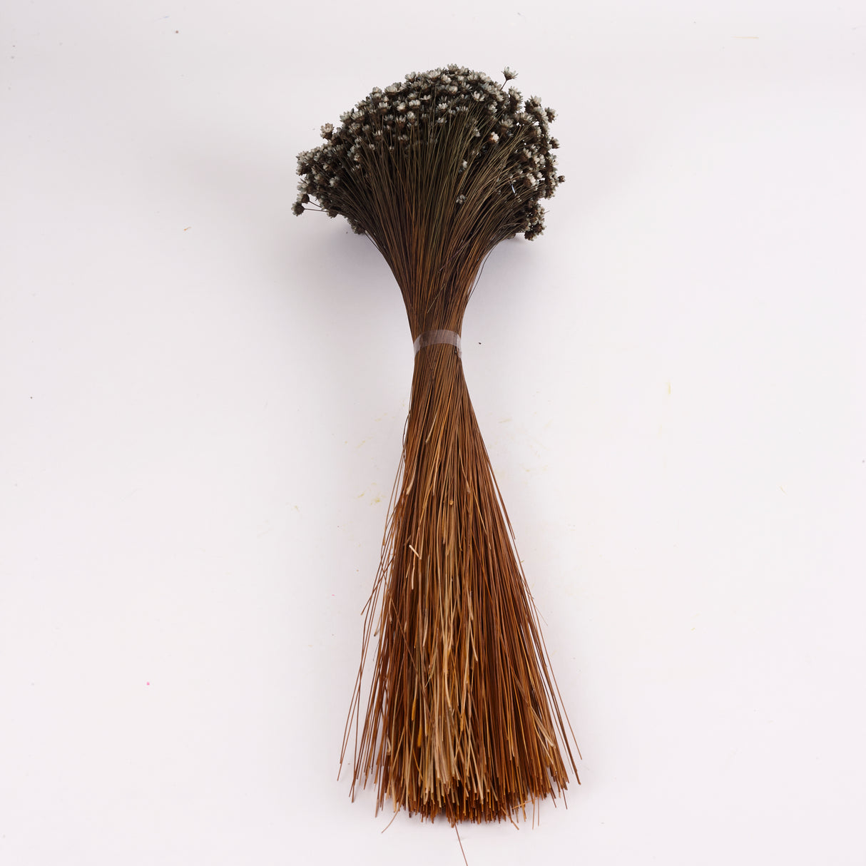 Glixia Flower, Dried, Grey, 100g Bunch