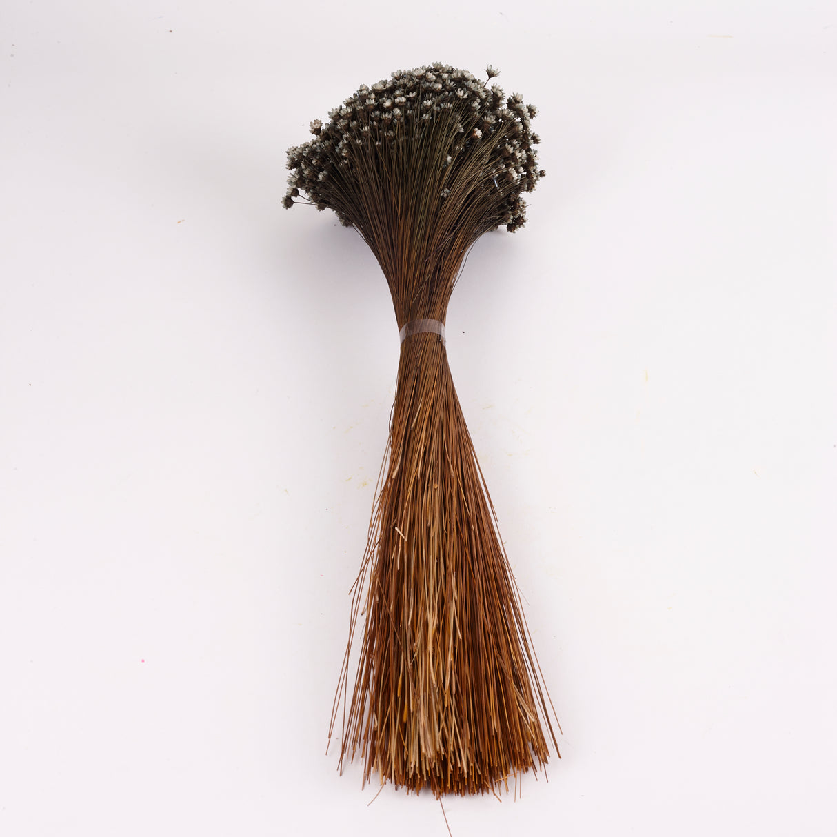 Glixia Flower, Dried, Grey, 100g Bunch