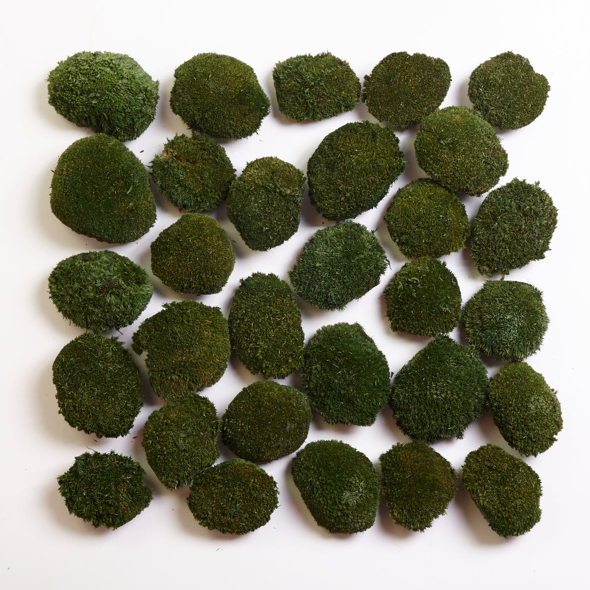 Mini Ball Moss, Preserved, Nature Green, coverage 0.16m2