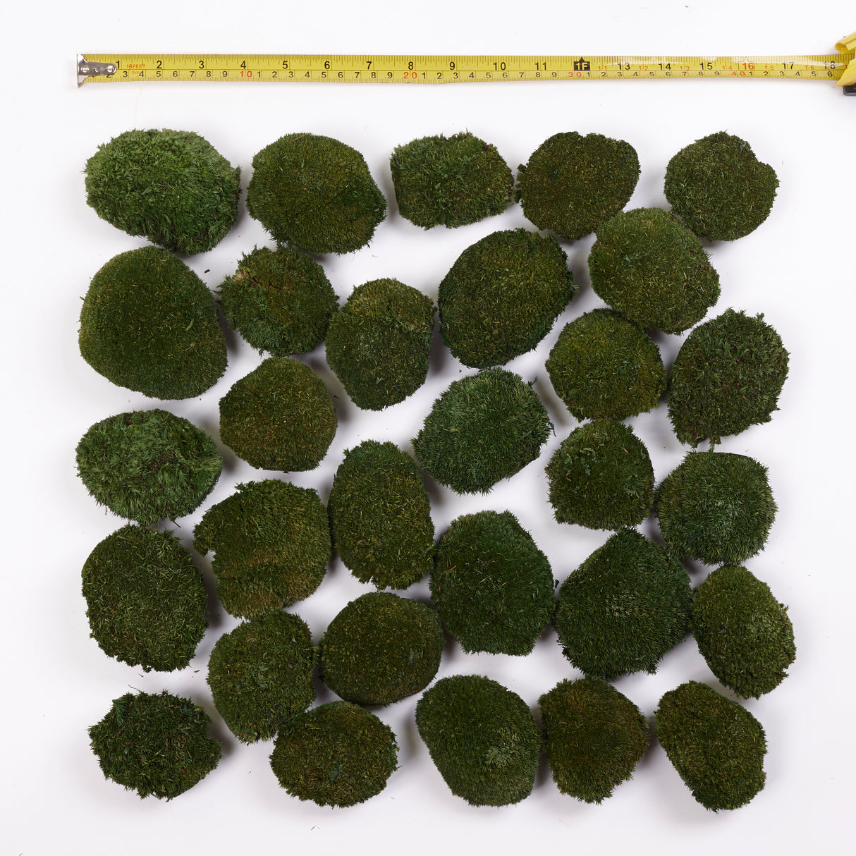 Mini Ball Moss, Preserved, Nature Green, coverage 0.16m2