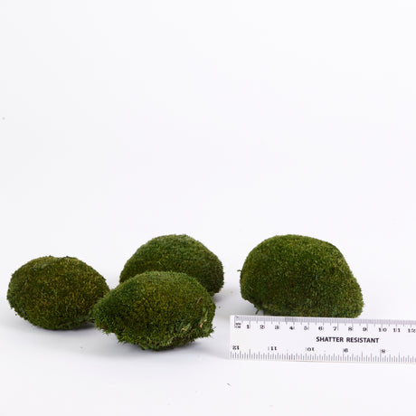 Mini Ball Moss, Preserved, Nature Green, coverage 0.16m2