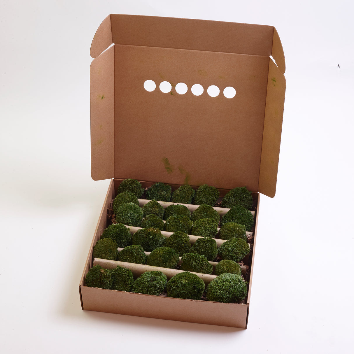 Mini Ball Moss, Preserved, Nature Green, coverage 0.16m2