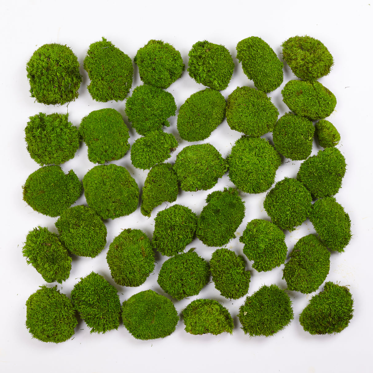 Mini Ball Moss, Preserved, Light Green, coverage 0.16m2