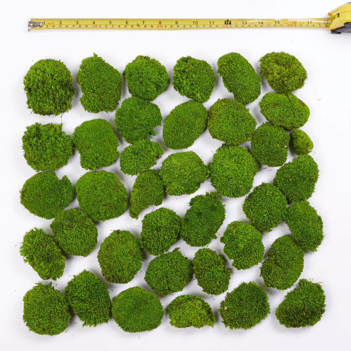 Mini Ball Moss, Preserved, Light Green, coverage 0.16m2