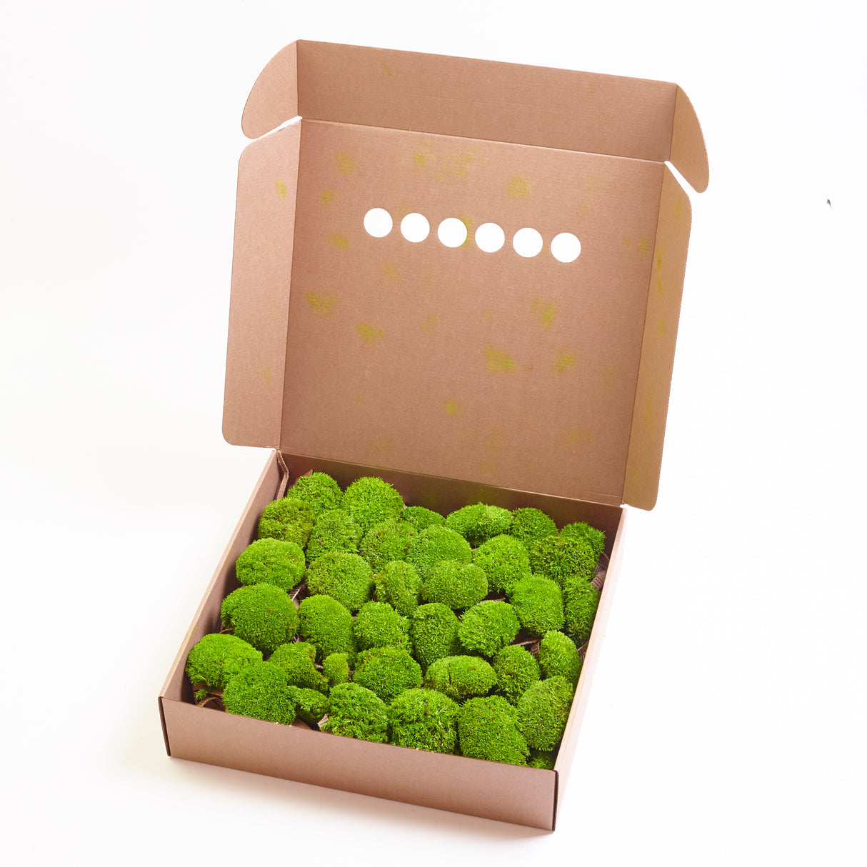 Mini Ball Moss, Preserved, Light Green, coverage 0.16m2